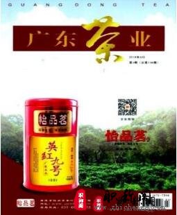 广东茶业