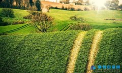 内蒙古农艺师职称评定条件有哪些?