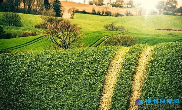 内蒙古农艺师职称评定条件有哪些?