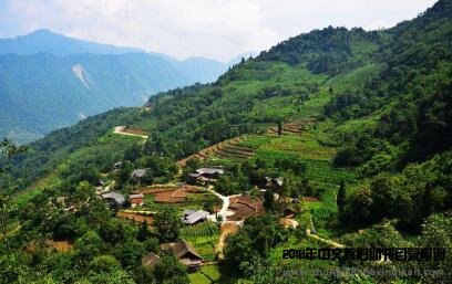 林业相关的SCI期刊有哪些？