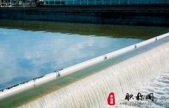 电气工程师高级职称评定对学历的要求