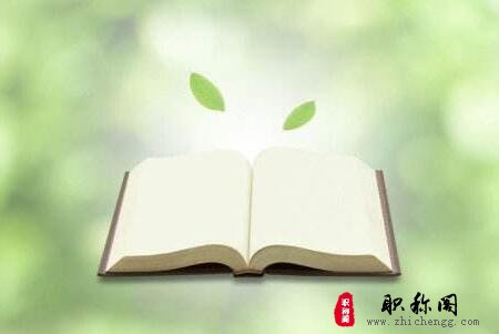 符合哪些条件可以评工程师