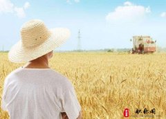 职称评定申请书的办理流程