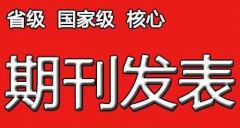 核心文章的发表要求