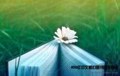 A类期刊有何要求?