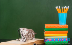 什么是省部级课题