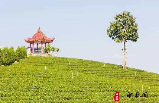 副高几年之后可以评正高