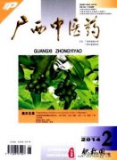 广西省级期刊有哪些