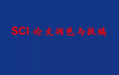 论文润色修改