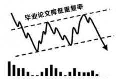 论文前查重的重要性