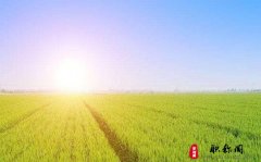 河南省教师高级职称评定条件