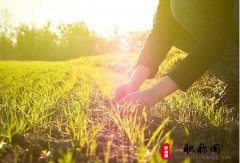 山西省农艺师职称评定申报条件