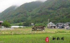 工程师中级职称申报的要求有什么