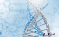 论文录用编修中是什么意思