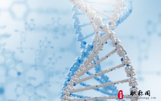 论文录用编修中是什么意思