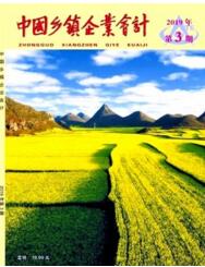 中国乡镇企业会计