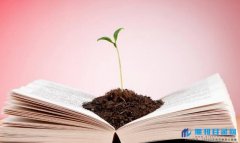 论文格式要求有什么