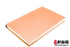 CN刊物指的是什么