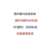 EI论文润色哪里做的好