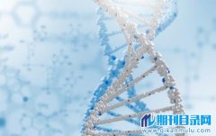 建筑工程师实用新型专利