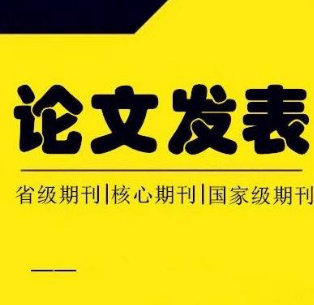 论文发表