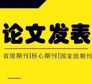 论文发表