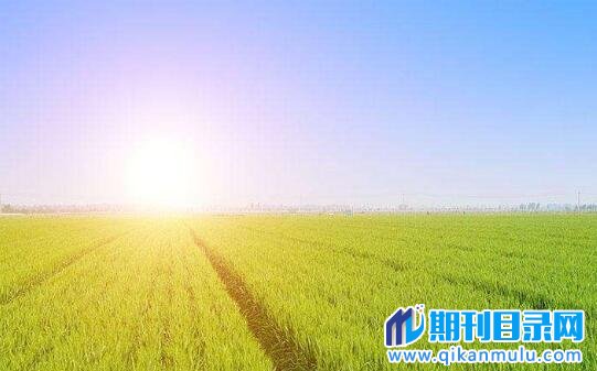 高级农艺师职称评定有经验要求吗