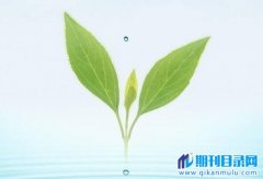 职称晋升对专著有什么要求