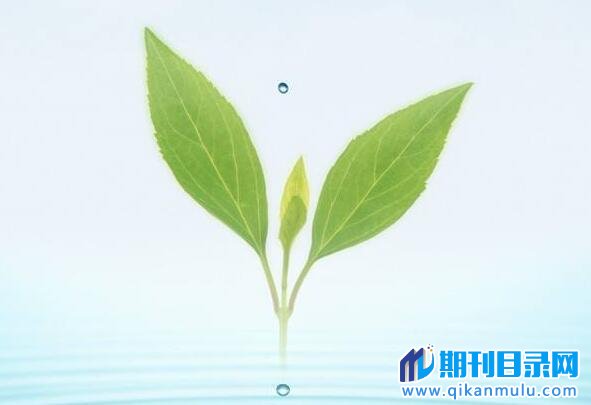 职称晋升对专著有什么要求