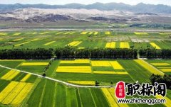 宁夏高级工程职称晋升的要求