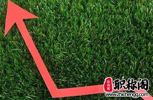 发表一篇文章的版面费是多少