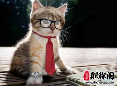 论文一区二区是什么意思