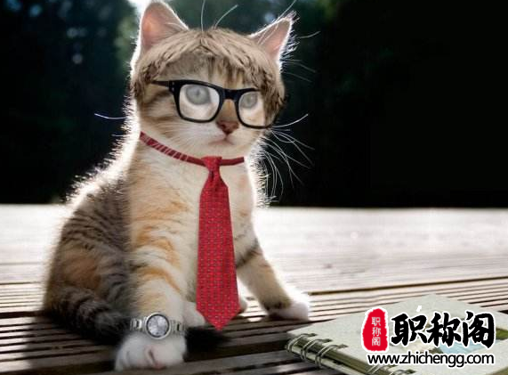 论文一区二区是什么意思