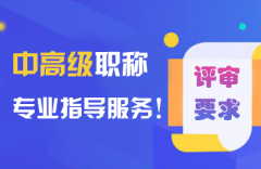 高级职称评定需要什么级别的论文