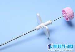 CN学术刊物是什么意思