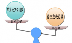 怎么查期刊等级和影响因子