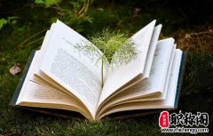 法医职称评审条件有什么要求