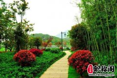 高级政工师评定要求有哪些