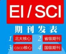 国内核心对论文第一作者职称有要求吗