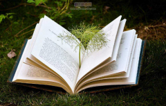 副高专著最多几个人