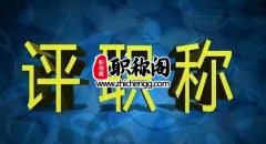 维普网收录的论文能用来评职称吗