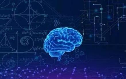 神经科学领域sci杂志推荐