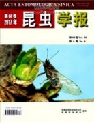中国昆虫学期刊有哪些