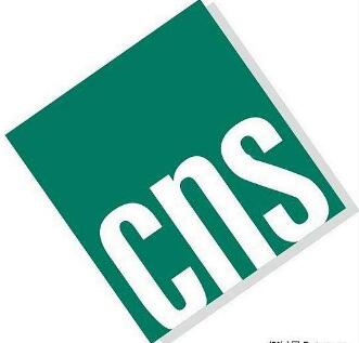 cns论文