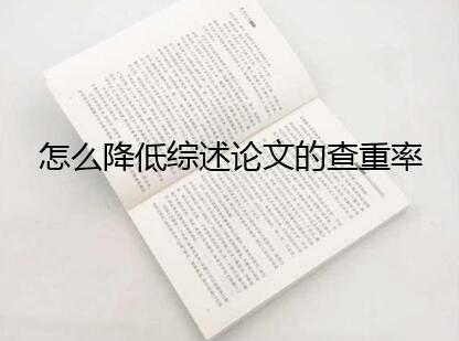 怎么降低综述的查重率
