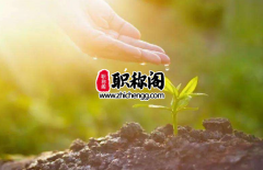 福建省高级农艺师职称评审条件