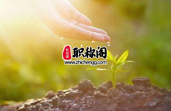 福建省高级农艺师职称评审条件