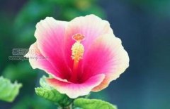 环境保护方面著作出版方法