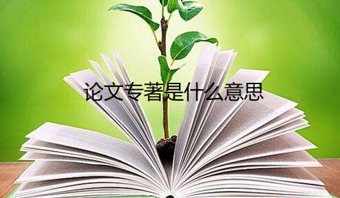 论文专著是什么意思