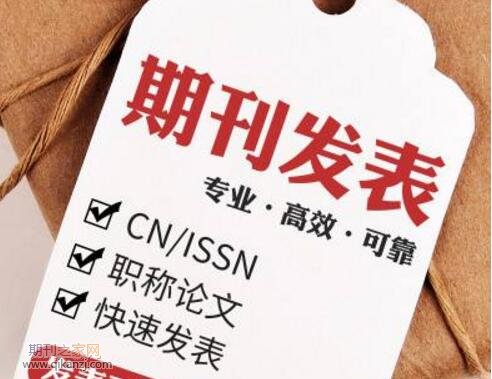 期刊论文发表